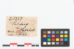 Etikett zu Bronzekahnfibel (NHMW-PRAE-025337)